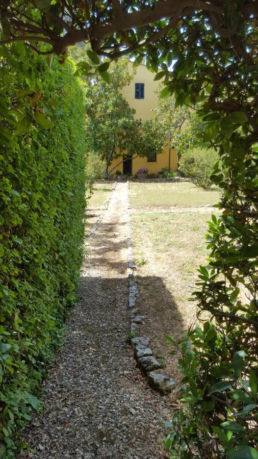 La Limonaia Βίλα Φλωρεντία Εξωτερικό φωτογραφία