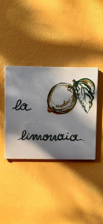 La Limonaia Βίλα Φλωρεντία Εξωτερικό φωτογραφία
